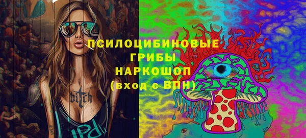 прущая мука Дмитриев