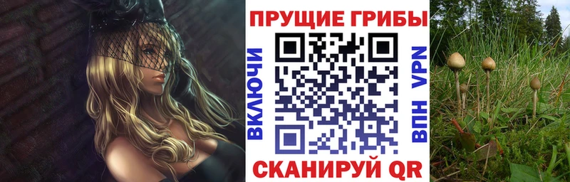 Псилоцибиновые грибы MAGIC MUSHROOMS  Купить где  Энгельс 